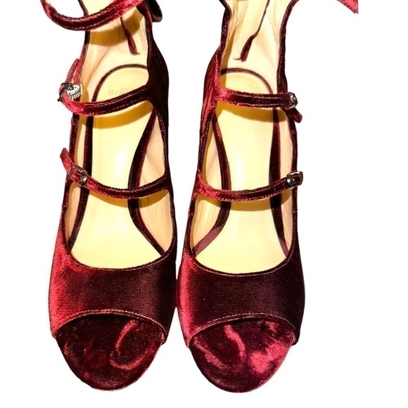 ALEXANDRE Birman Kyle Velvet Mary Jane Block Heels Pumps Burgundy 10 40 - Picture 2 of 13